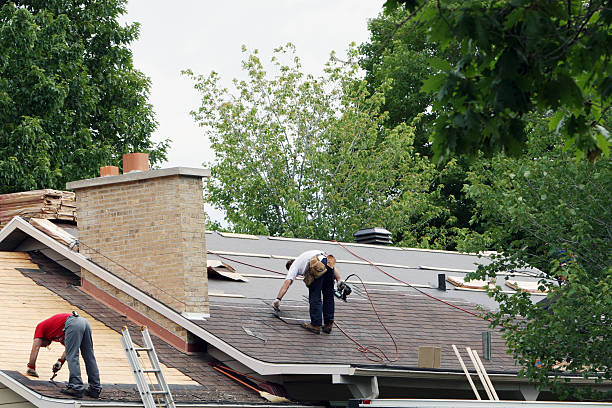 Best Roofing Contractor Near Me  in Orland Hls, IL