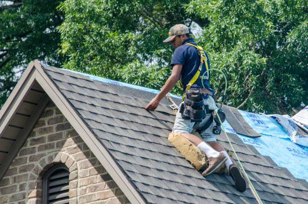 Best Roof Maintenance Services  in Orland Hls, IL