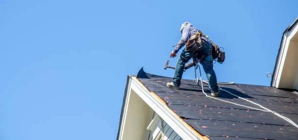 Best Roof Waterproofing Services  in Orland Hls, IL